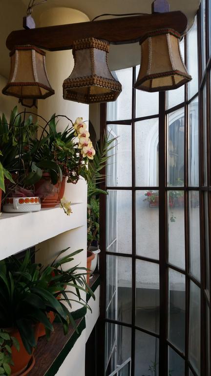 Vila Monica Bed & Breakfast Targu Mures Exterior photo