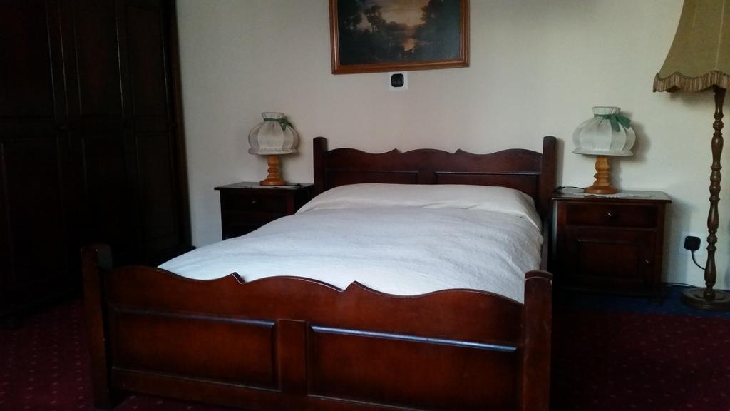Vila Monica Bed & Breakfast Targu Mures Room photo