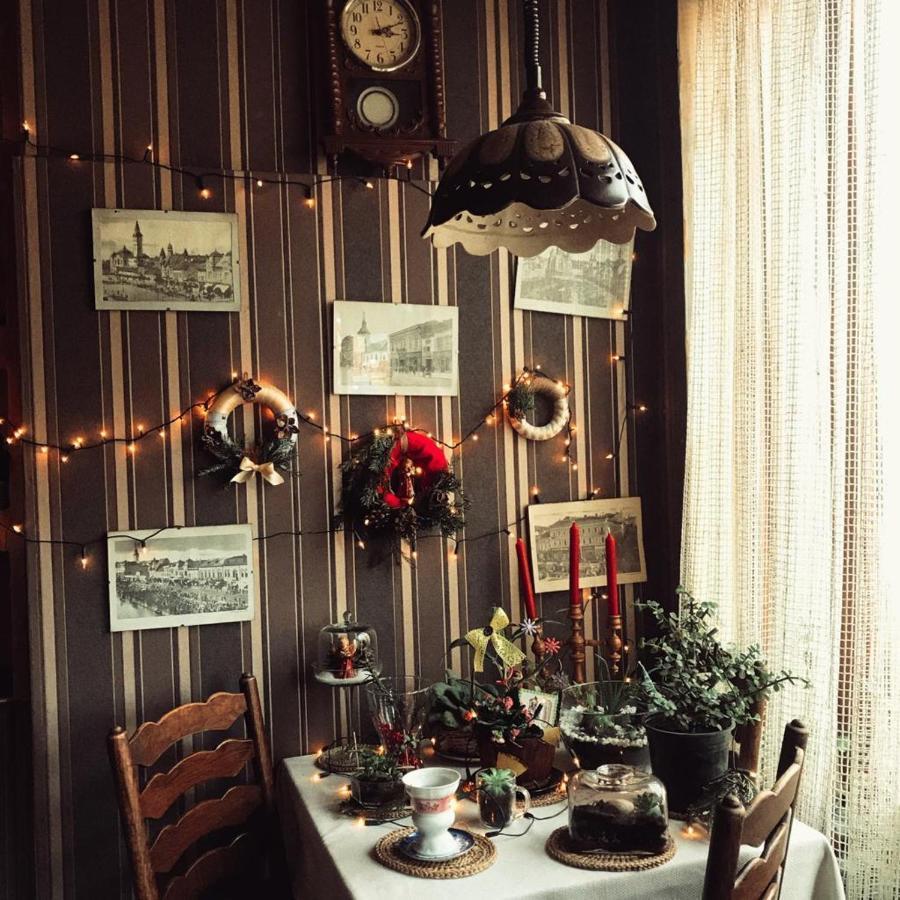 Vila Monica Bed & Breakfast Targu Mures Exterior photo